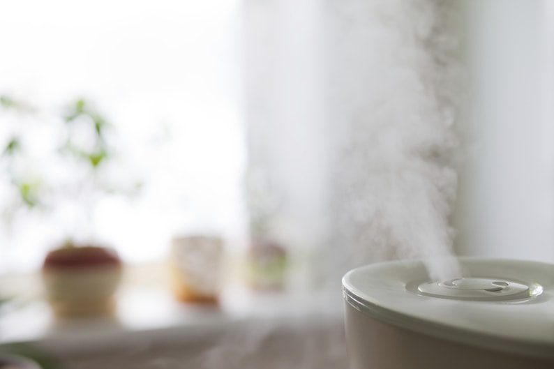 Everything You Need to Know About Indoor Air Quality