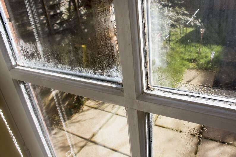 How humidity damages your home — and how to fight it